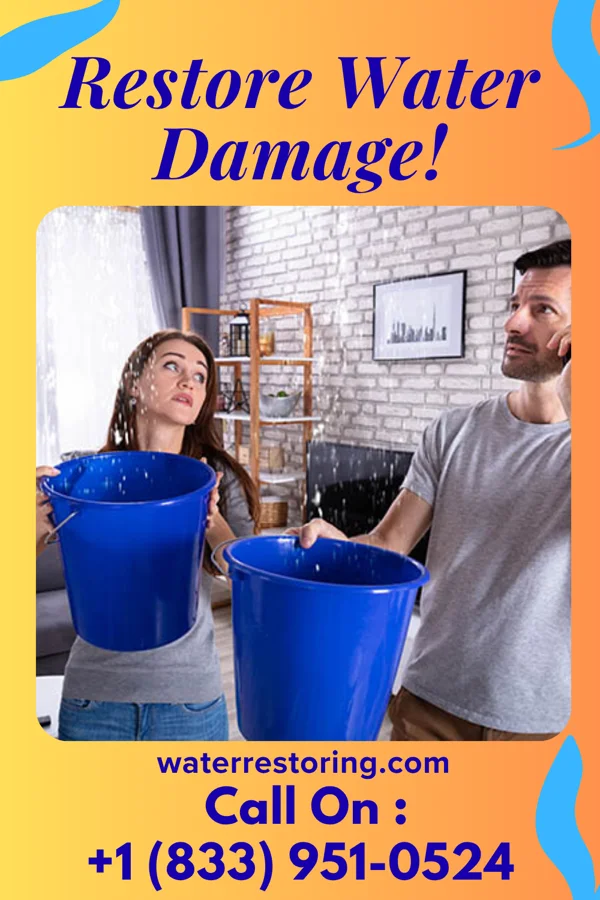 water restoration Royal Emergency Restoration Services Brundidge
